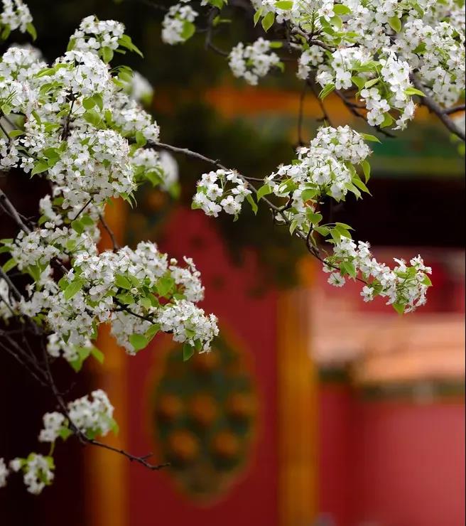 金沙990线路检测(集团)有限公司官网