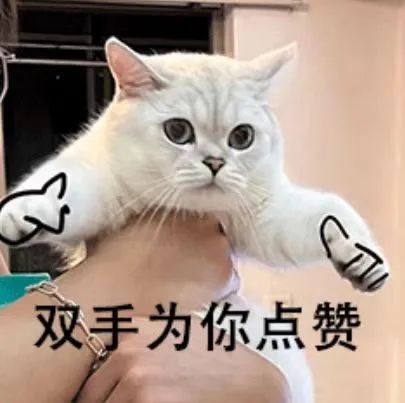 金沙990线路检测(集团)有限公司官网